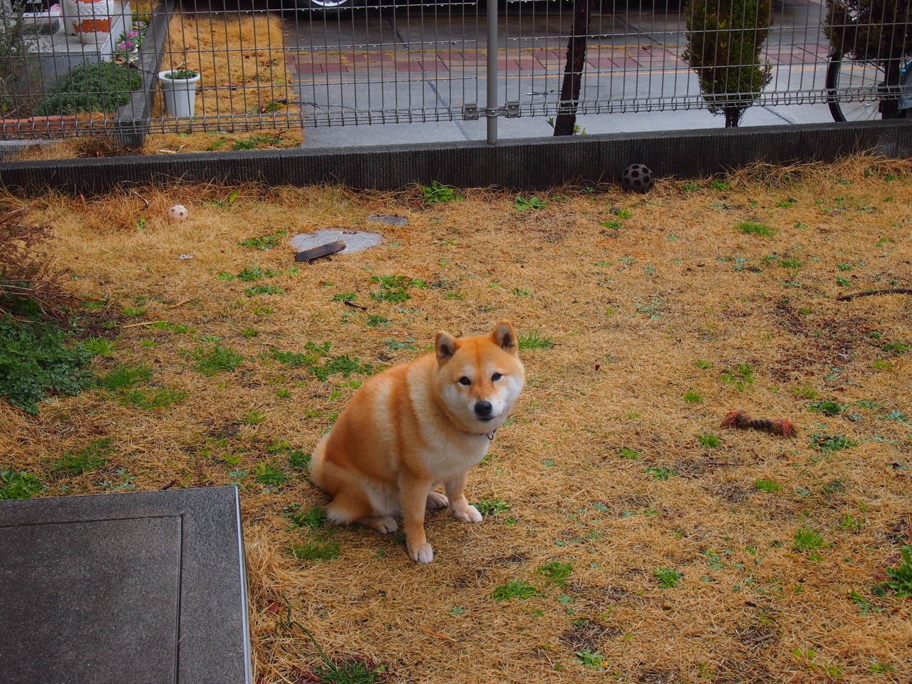 国家级足球训练基地引入VR虚拟现实技术，革新青训模式，十大足球训练基地