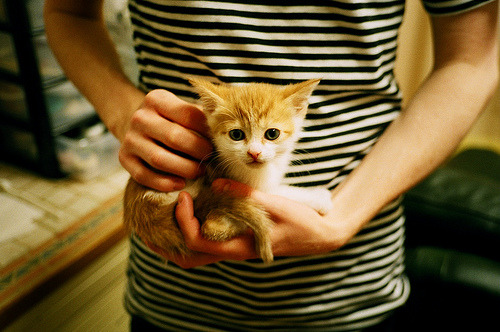 爱游戏登录入口-意甲豪门争夺意大利“未来之星”，高价逆天，2019足坛未来之星