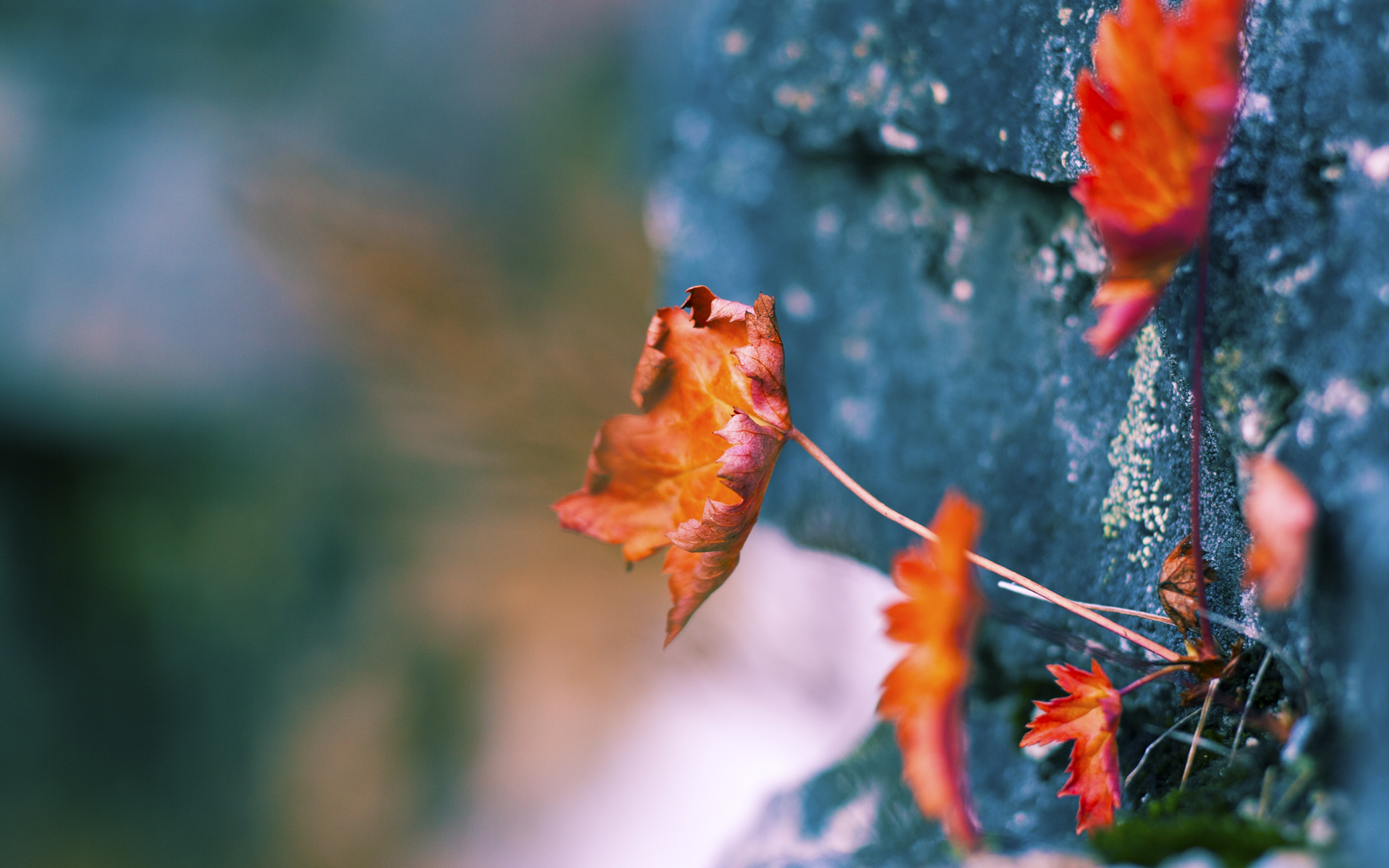 AIYOUXI.COM-法甲激烈角逐，精彩进球和战术变革成为主旋律，法甲情况