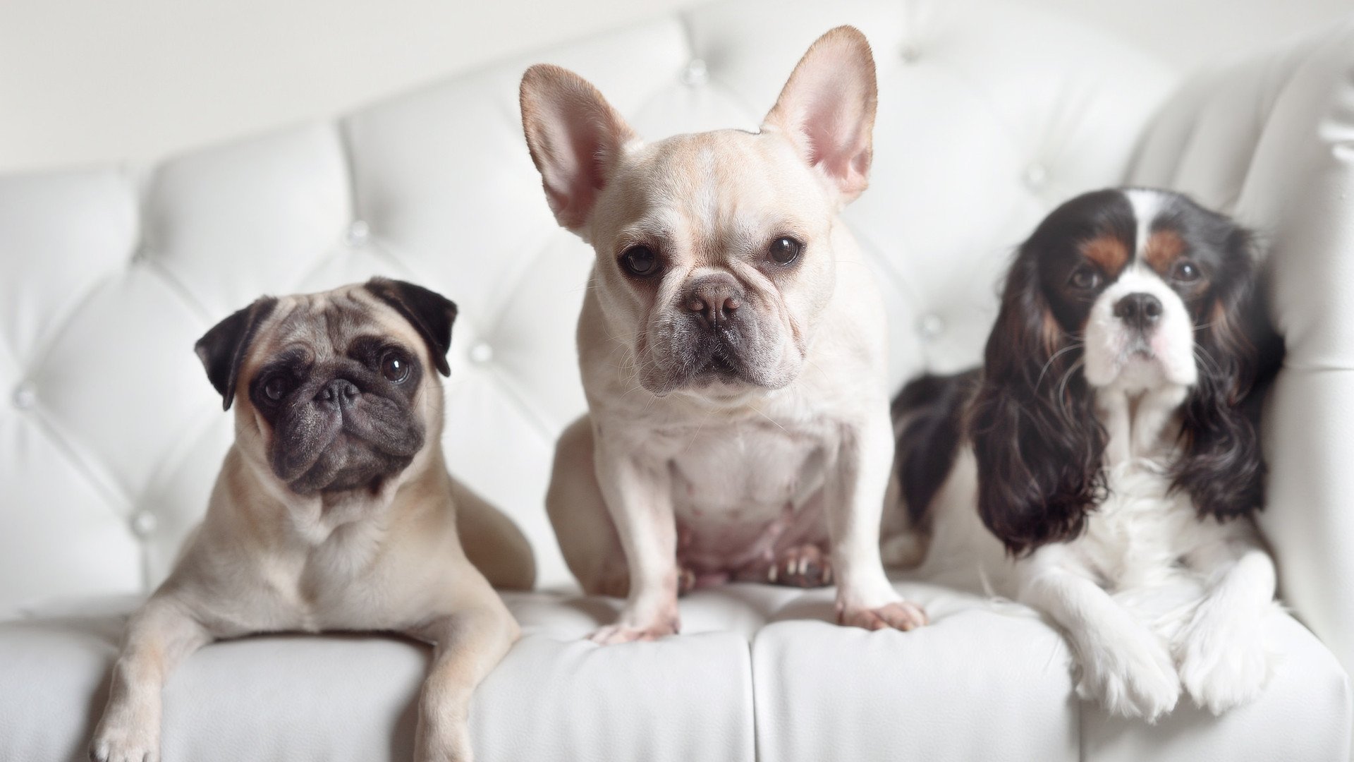 爱游戏中国官方网站平台-英格兰骑手莎拉·摩根在巴黎奥运会障碍赛中获得第十二名，展现坚韧精神。