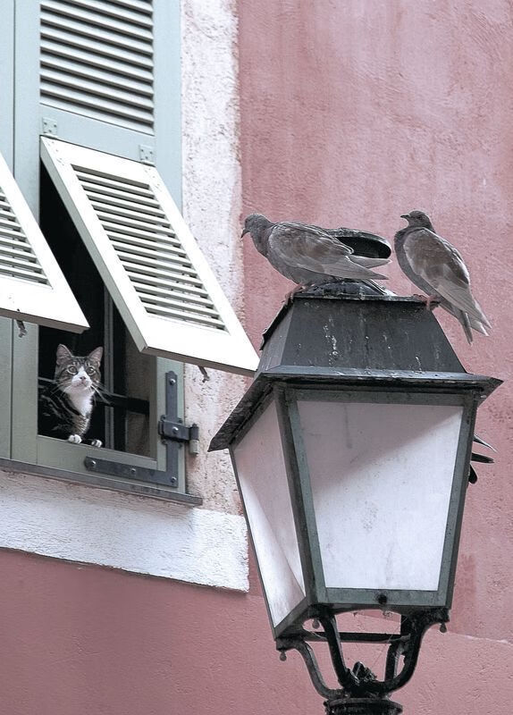 AYX体育-青少年裁判员培训体系不断优化，公平公正保障强化，青少年足球裁判员培训