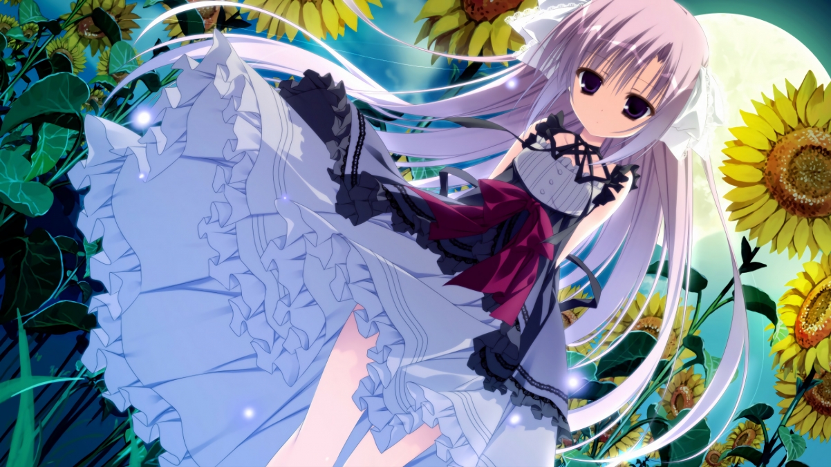 2024年第七届成都全球象棋双人赛圆满落幕，成都象棋擂台赛