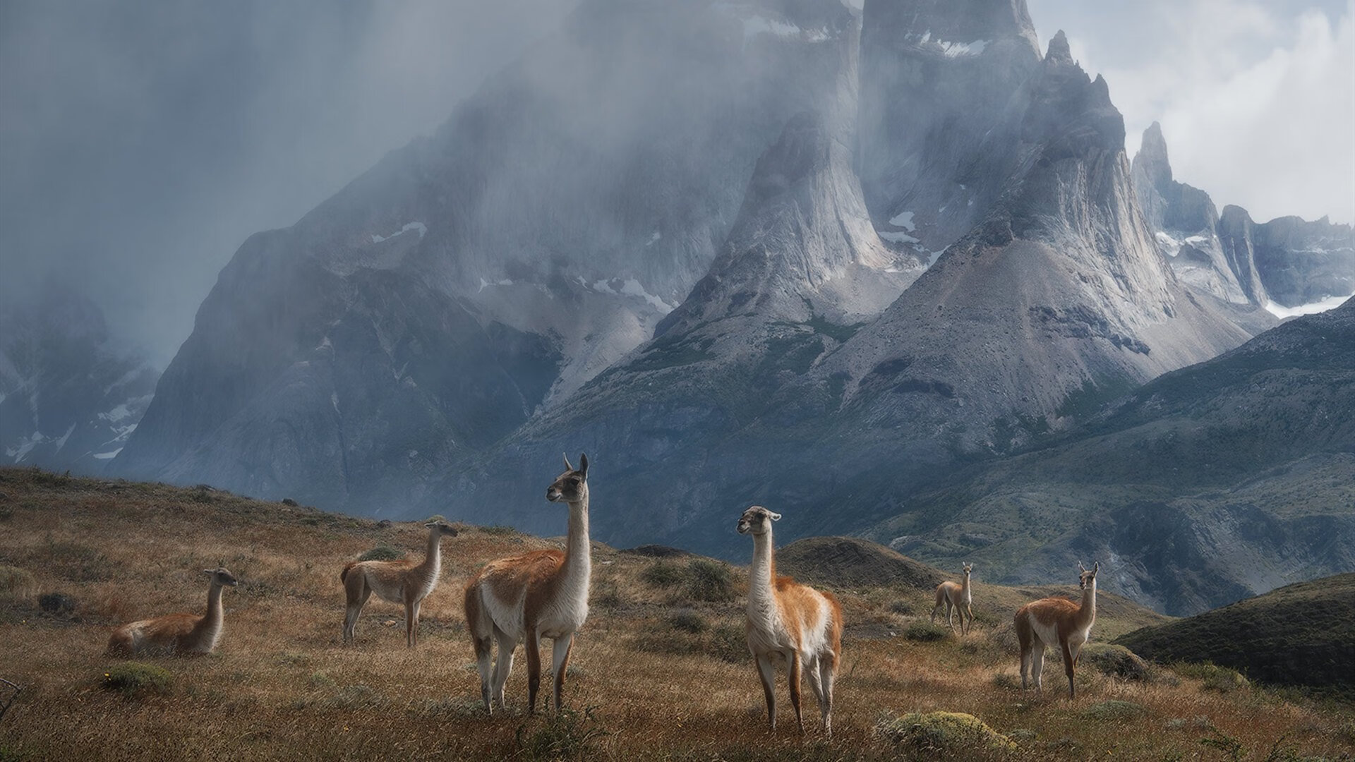 爱游戏在线登录入口-中国女足在比赛中展现出坚韧意志，2021中国女足精神