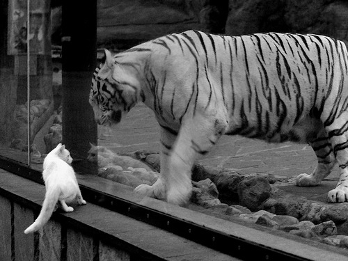 爱游戏体育-国际米兰遭遇AC米兰逆转，惨遭败绩，ac米兰和国际米兰的赛程