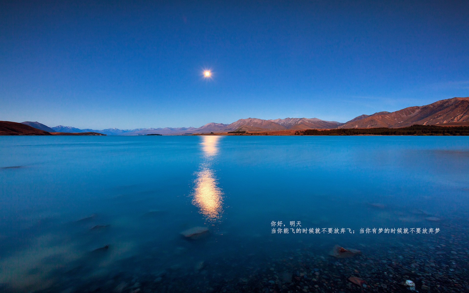 爱游戏-奥地利队肩负重任，努力在欧预赛中展示实力，奥地利队分析