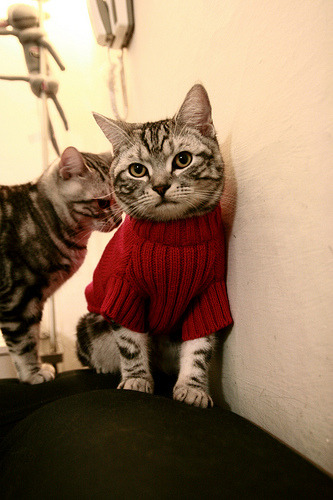 爱游戏官方-球员公开批评联盟是否应处罚，球员公开批评联盟是否应处罚对方