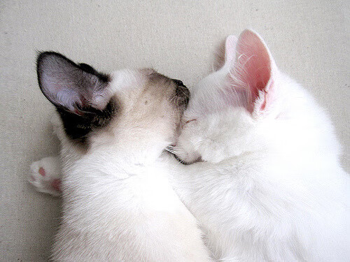 球员分享在全球杯篮球比赛中的感悟，篮球杯新闻