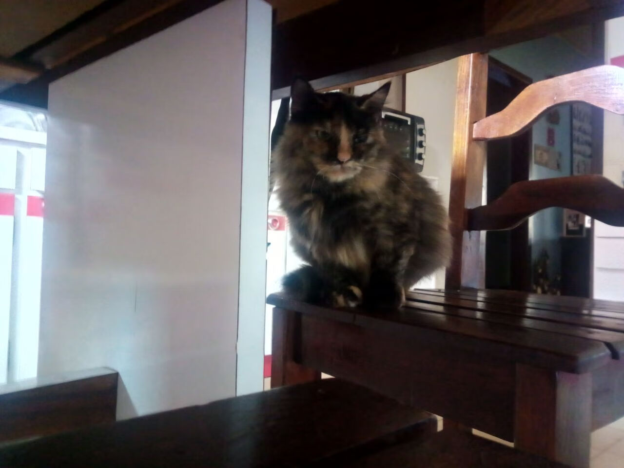 篮球专项体能训练智能化监测与动态调整研究，篮球体智能课程介绍