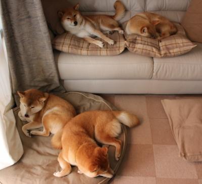 五大联赛冷门爆出背后的战术板决策逻辑，五大联赛集体爆冷