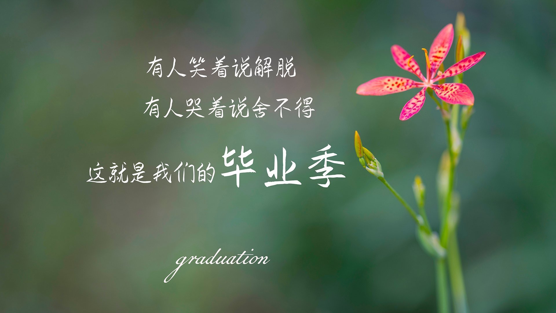 爱游戏娱乐平台-利物浦后场出球节奏加快助推反击速度，利物浦主力后卫