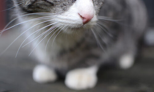 爱游戏娱乐平台-城市基础设施提升配套，赛事承办能力获肯定，城市基础设施概念