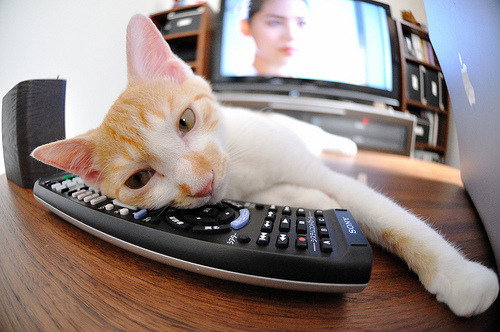 爱游戏中国官方登录入口网站-英超冲刺决战：悬念缠绕，精彩不断！，英超经典对决