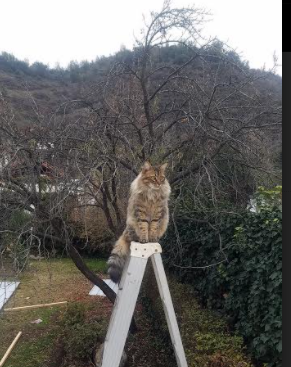 AYX体育-西甲极速反击：瞬间突破让敌人猝不及防，西甲录像回放极速