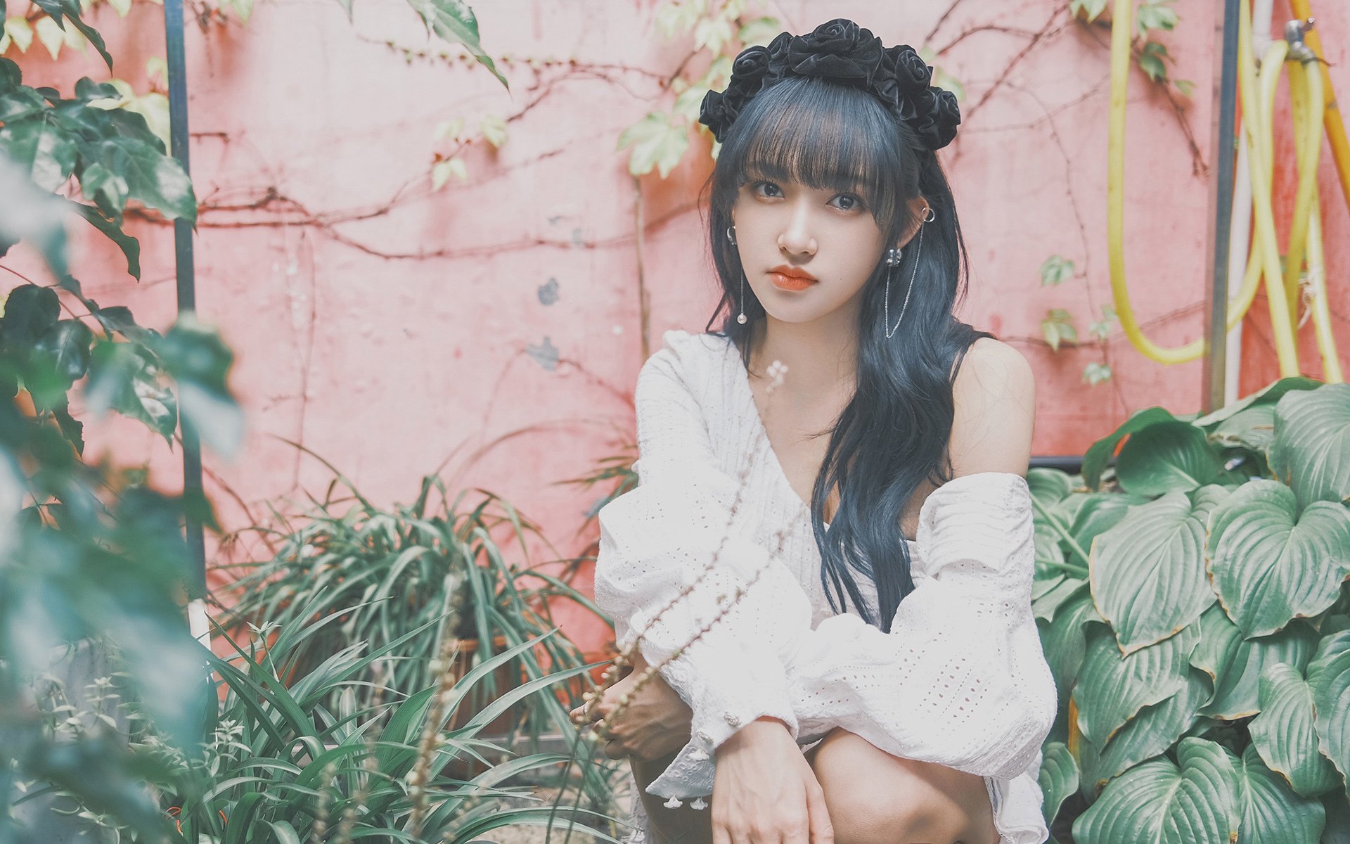 黄蜂在主场提升反击效率球迷反应热烈,黄蜂的足球