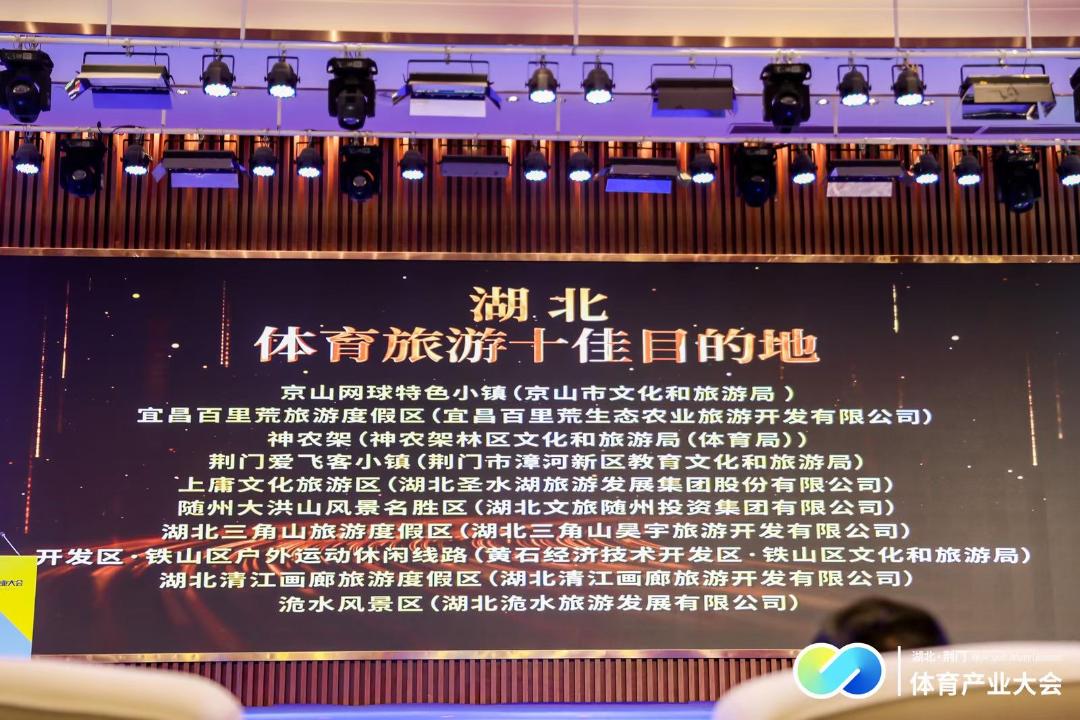 包含爱游戏:体育产业的快速增长，新机会与挑战的词条